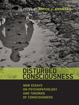 cover image of Disturbed Consciousness